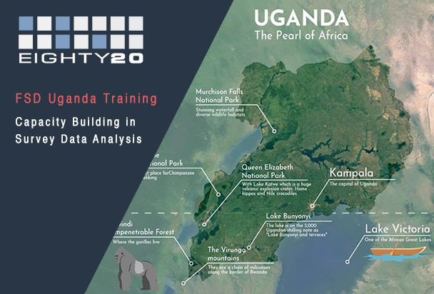 Capacity Building in Survey Data Analysis