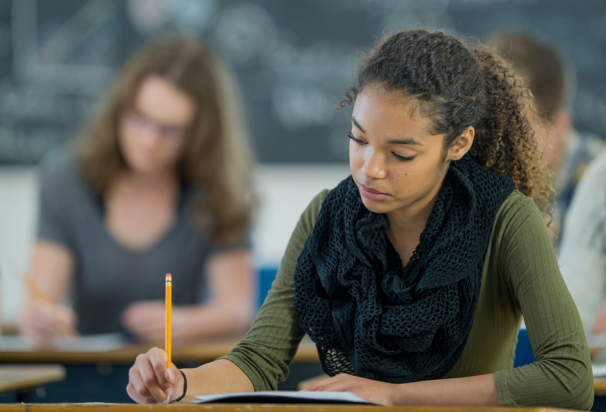 Crunching the Numbers: How Mastering Math Adds Up to Success in South Africa