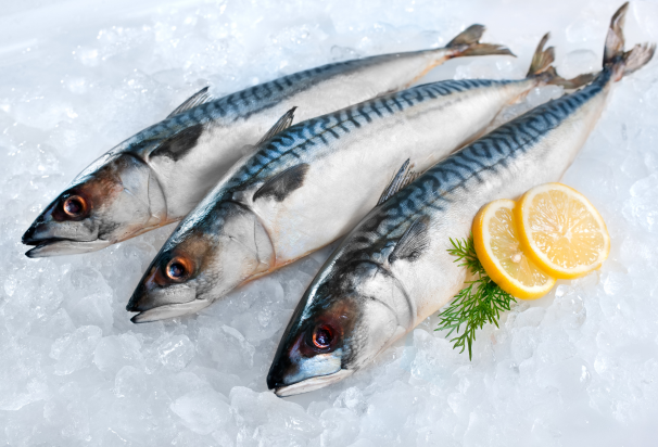 Rising fish exports outpace inflation