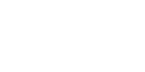 Hollard-logo-w