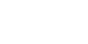 aig-logo-w