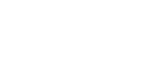ey-logo-w