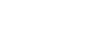 massmart-logo-w