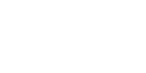 momentum-logo-w