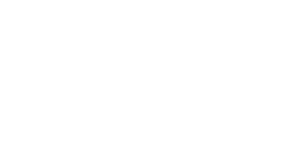 ms-dell-foundation-logo-w