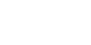 mtn-logo-w