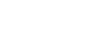 sanlam-logo-w