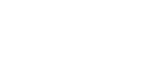 wits-logo-w