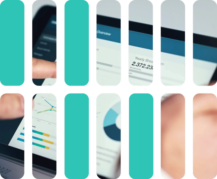 programme-management-graphic-header-700px